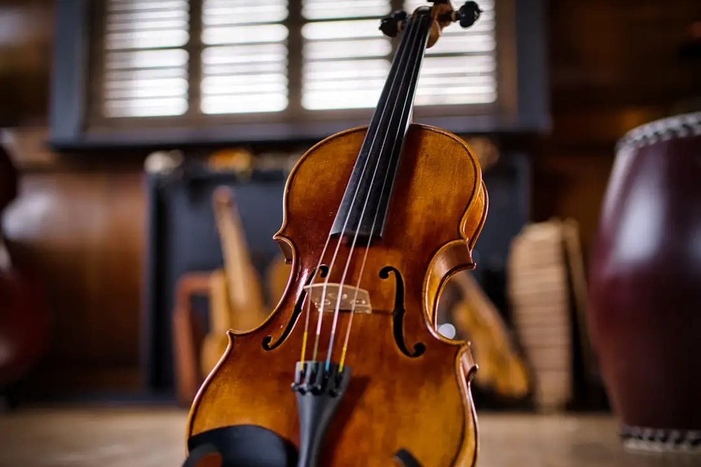 Violin