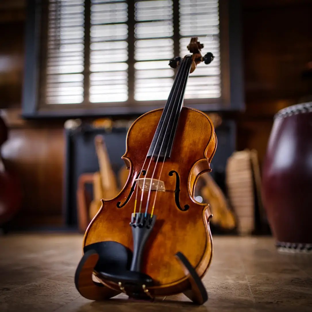 Violin