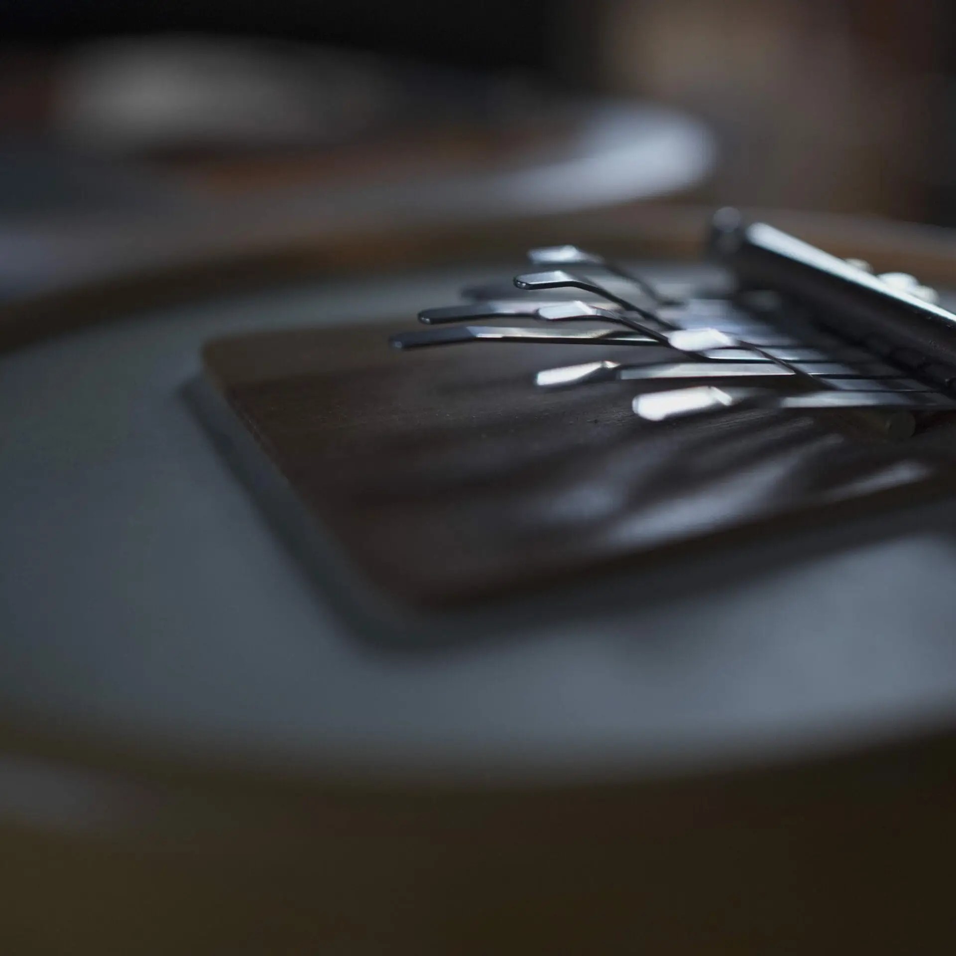 Kalimba 2