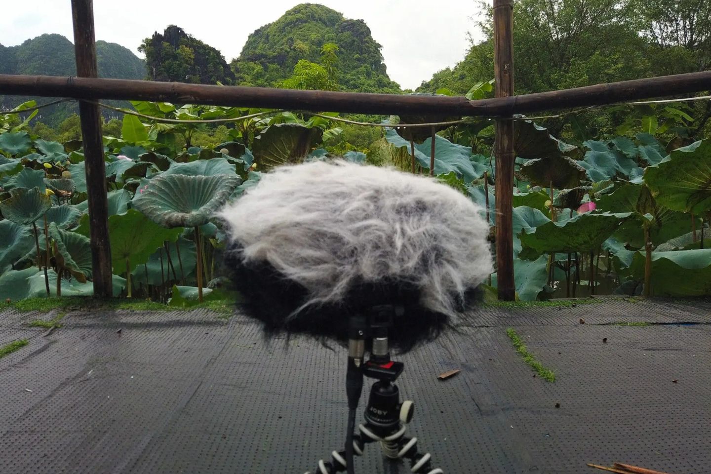 Ha Noi gallery 10