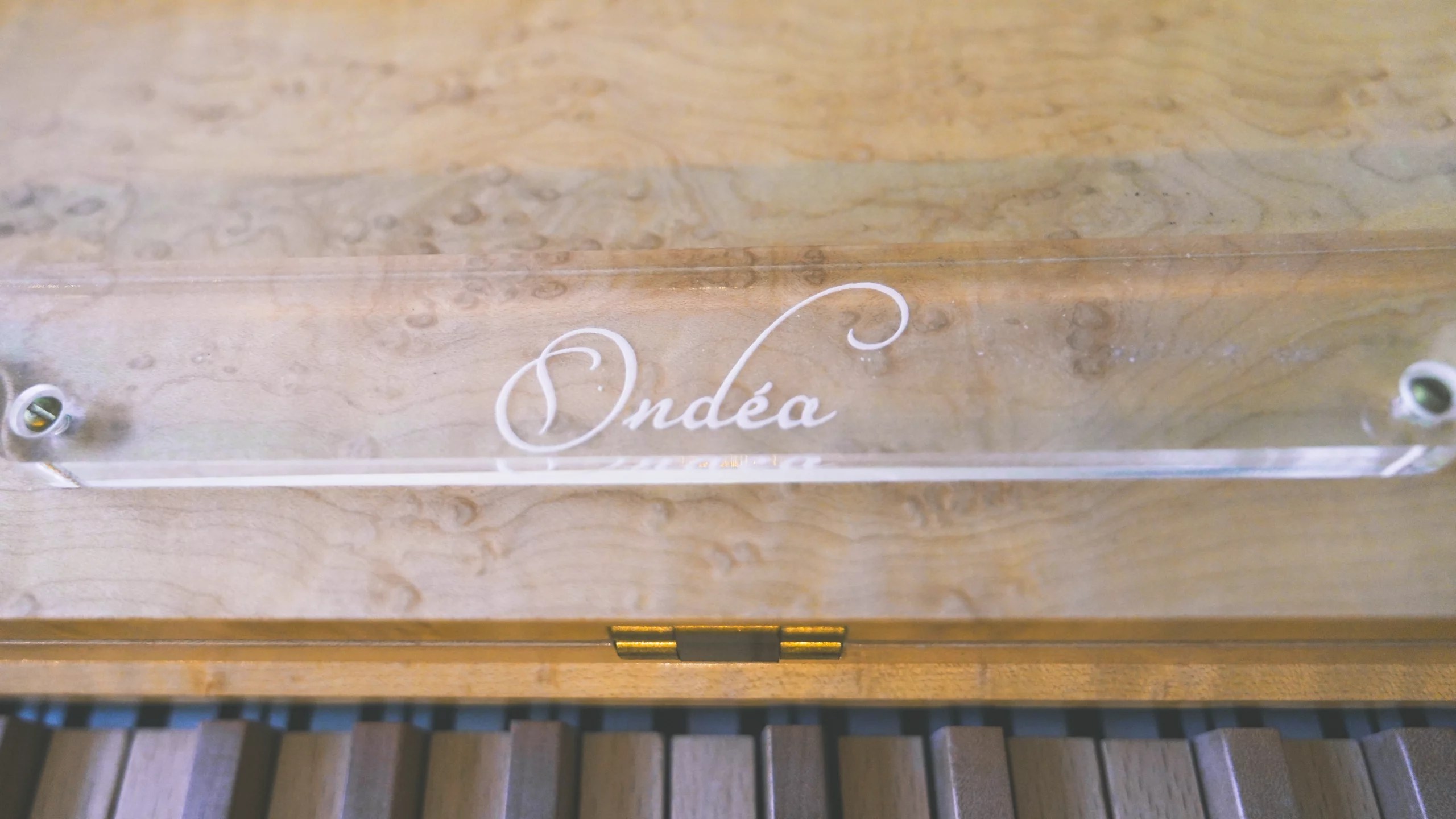 Onde Instrument Photo